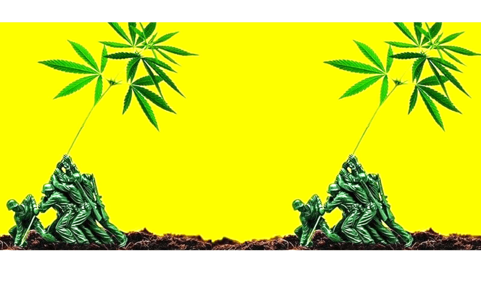 Best Smokers Subscription Box - Elevated Stash - Veteran Owned